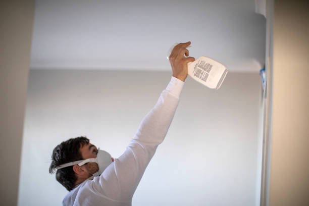 Best Mold Testing  in Grand Junction, CO